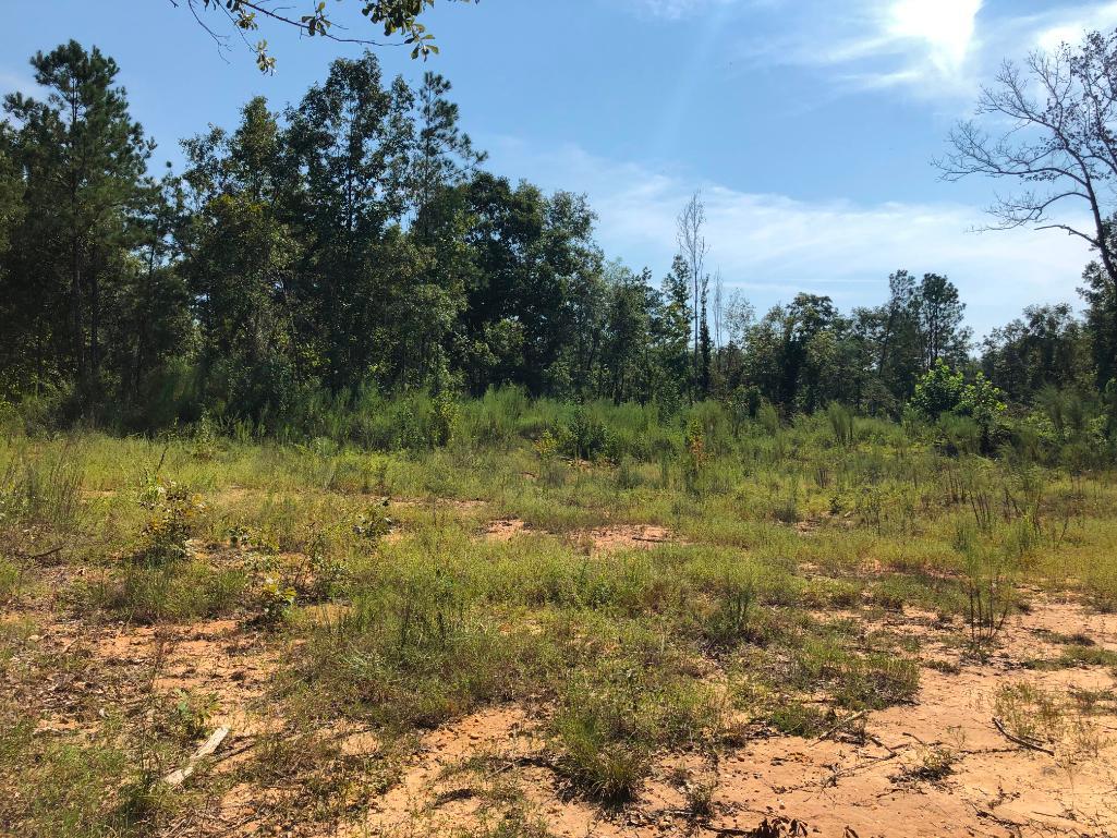 PROPERTY #3 - 100± TOTAL ACRES - CLAY COUNTY, GA