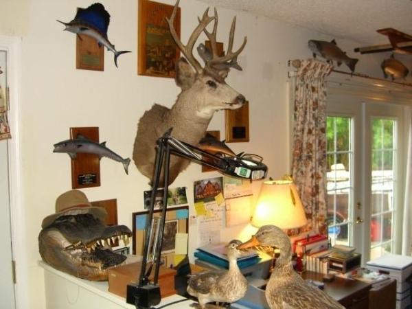 2-day-living-estate-auction-of-dennis-seredick-hunting-fishing-personal-property-day-1