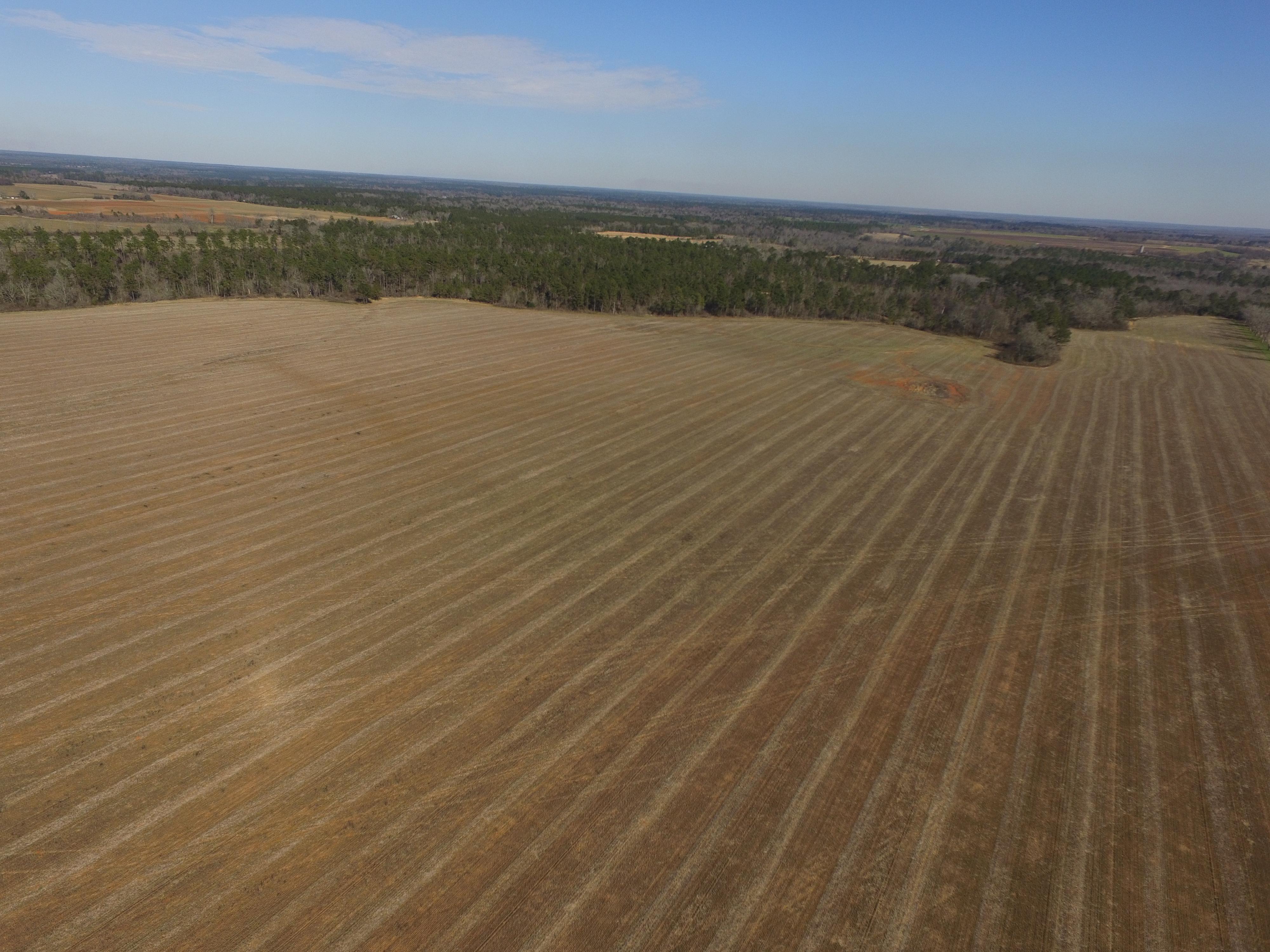 "CLARK ESTATE" - 252+/- TOTAL ACRES - EARLY COUNTY, GA