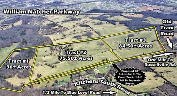 175-acres-in-three-tracts