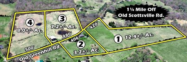 31-acres-old-greenhill-old-scottsville-road-area