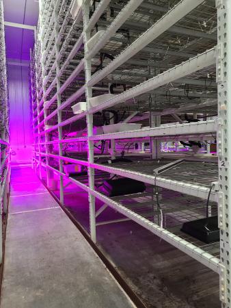 vertical-hydroponic-growing-online-only-auction