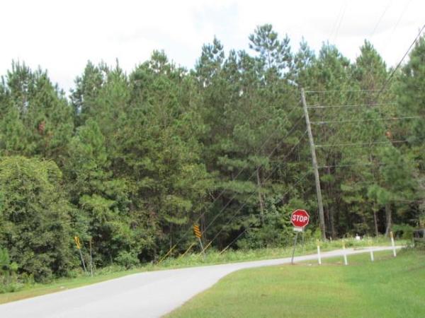 lowndes-county-land-auction