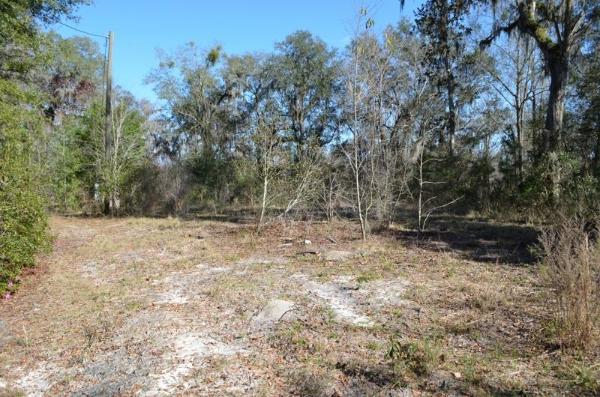 5-acres-on-the-suwannee-river