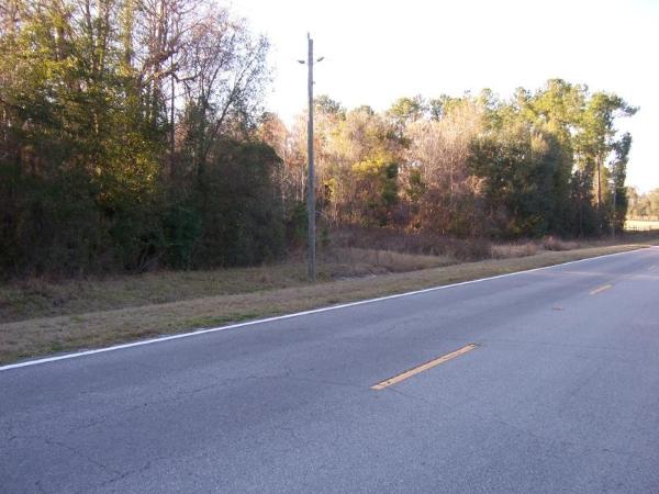 20-acres-in-alachua-county