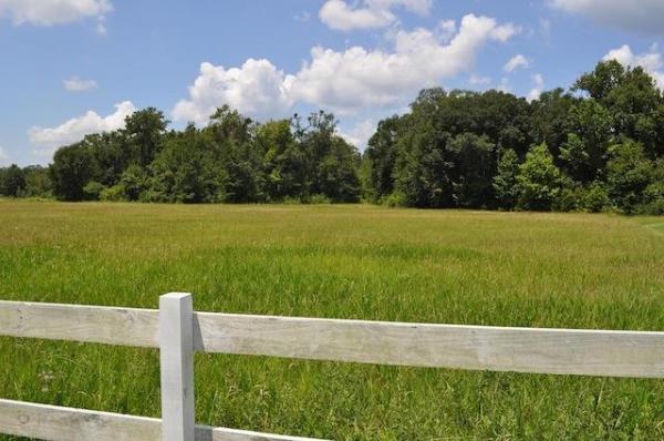 25-acres-in-alachua-county