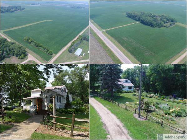 live-auction-of-160-acres-in-cottonwood-co-mn-for-waverly-sharon-engeswick