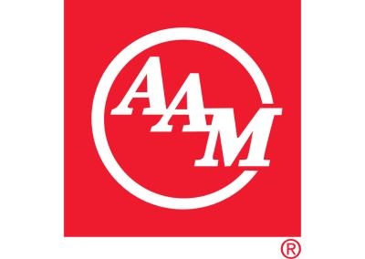 AAM Driveline Surplus Assets