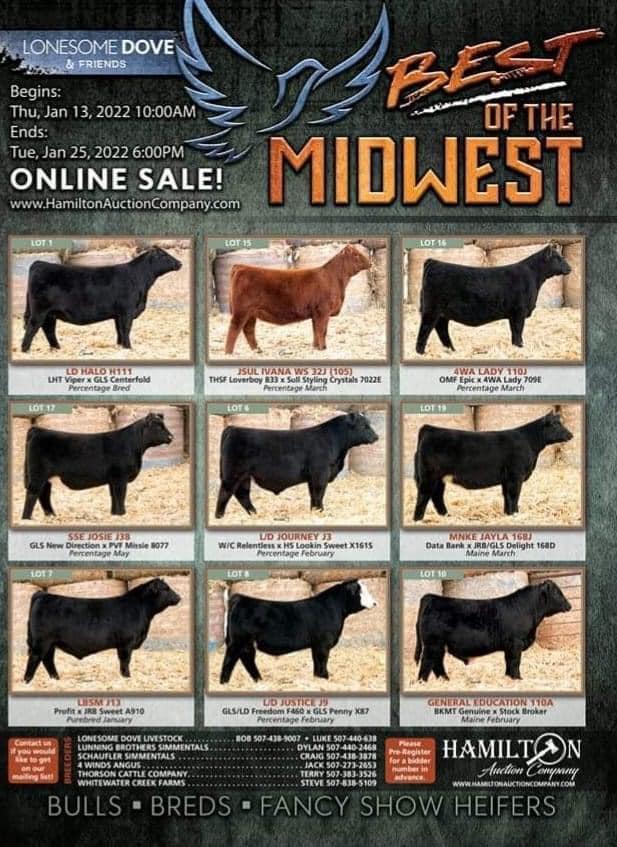 Best of the Midwest Cattle Sale