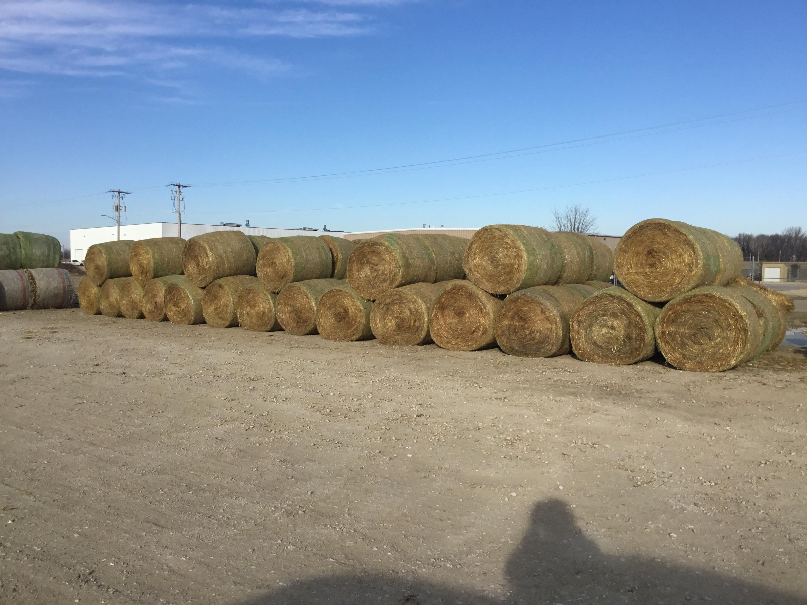 February Hay Auction