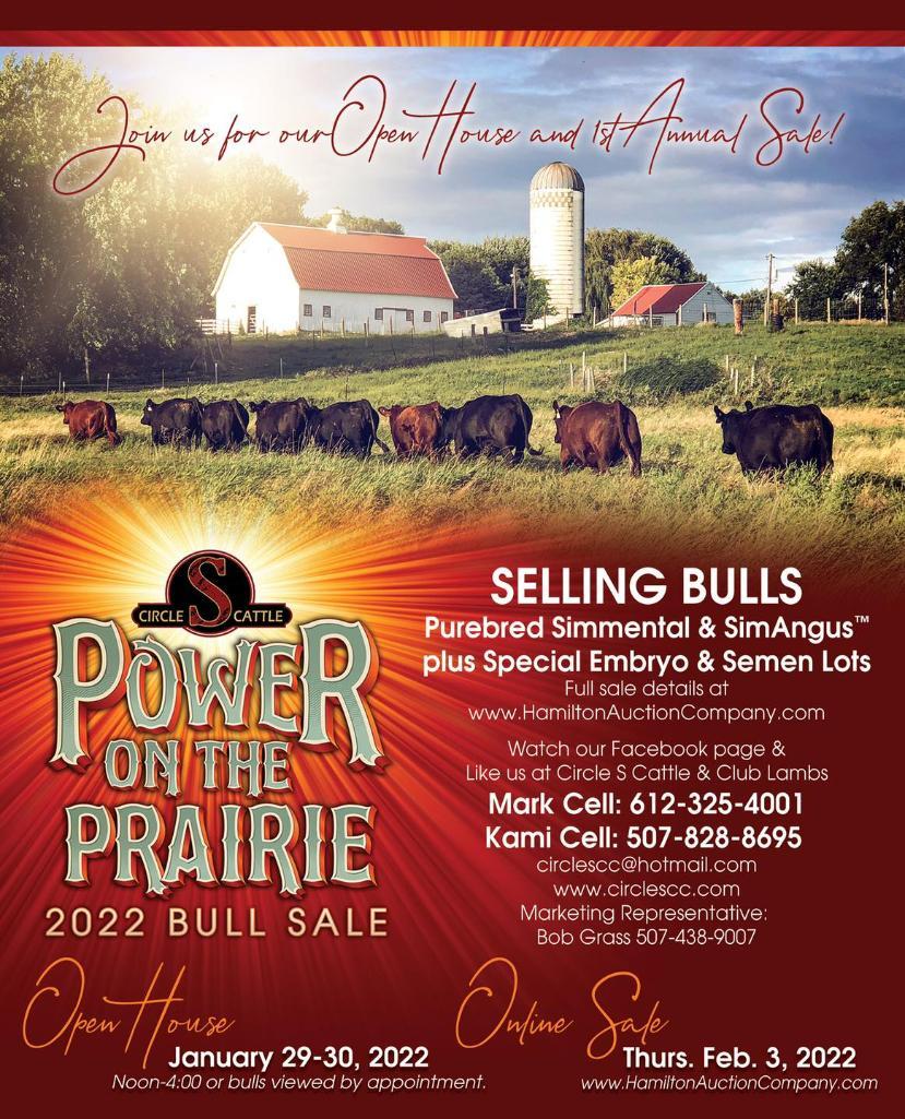 Power on the Prairie Bull Sale