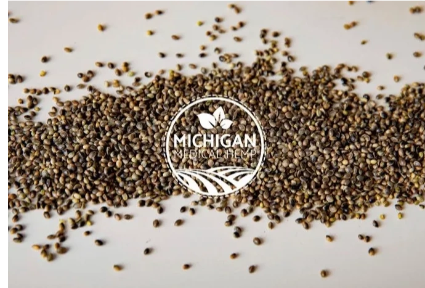 online-auction-michigan-medical-hemp-seeds-available-immediately