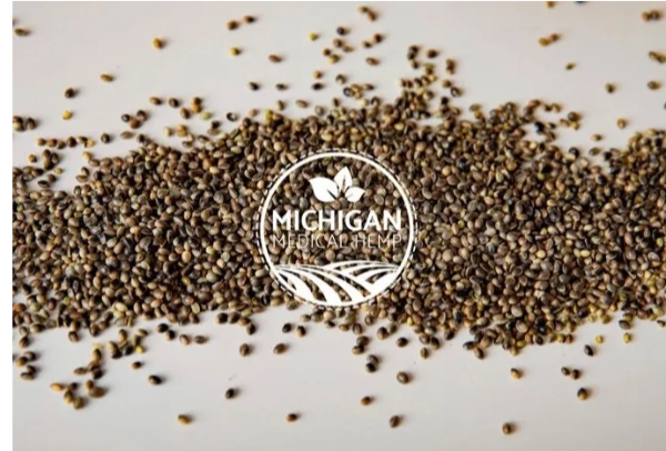 online-auction-remaining-seed-from-michigan-medical-hemp