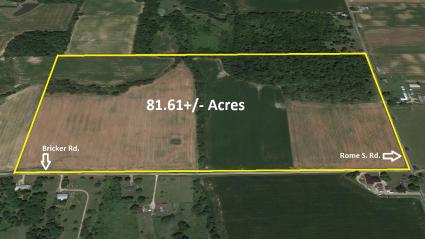 81-61-acre-farmland-auction-for-bisel-trust