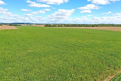 50-acres-of-simpson-county-cropland