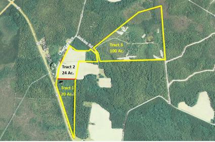 clinch-county-ga-150-acre-hunting-timber-tract