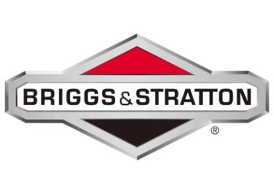 Briggs & Stratton, LLC – Day 2