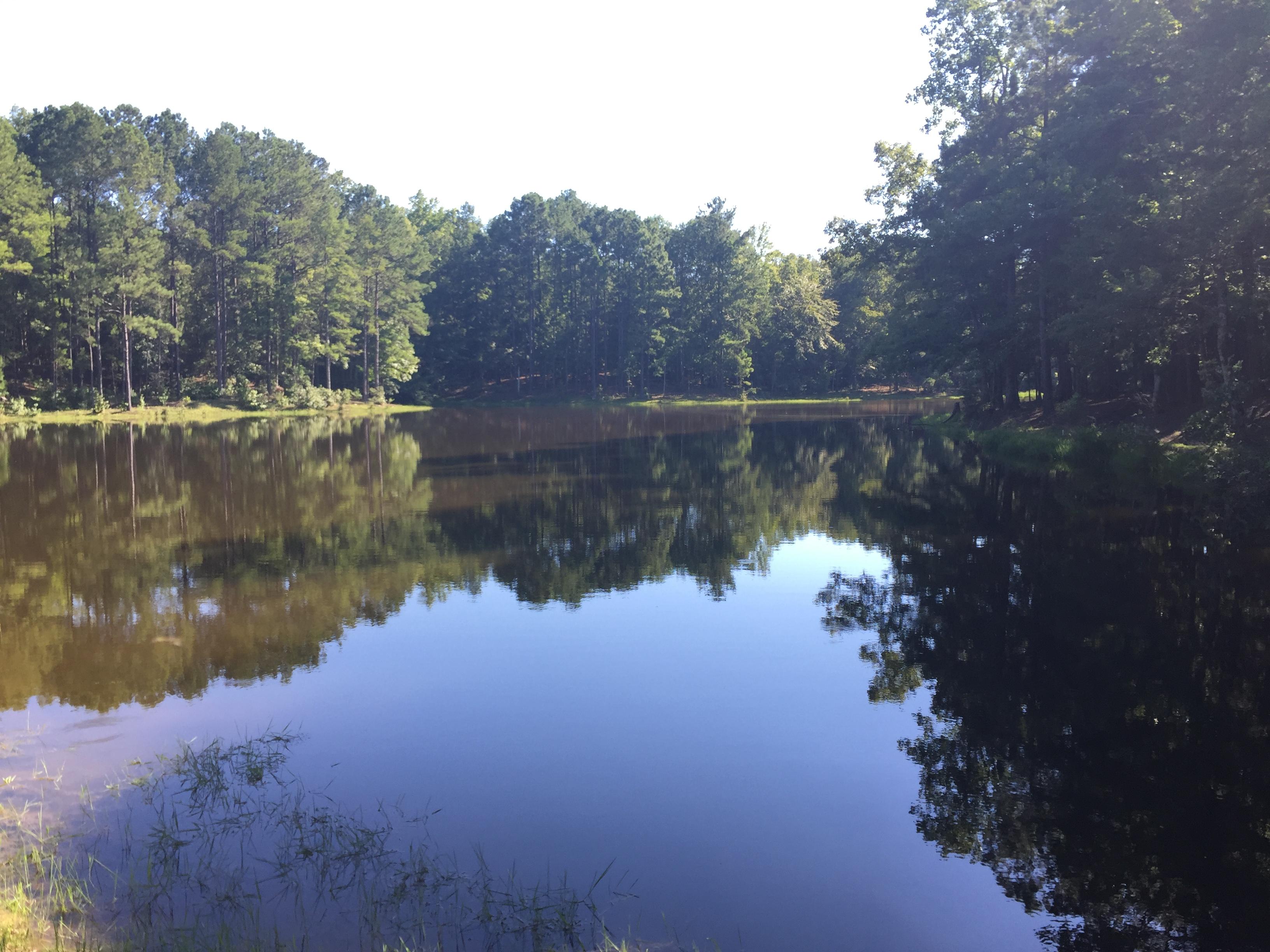 Property #2 - 113 Total Acres - Clay County, Ga