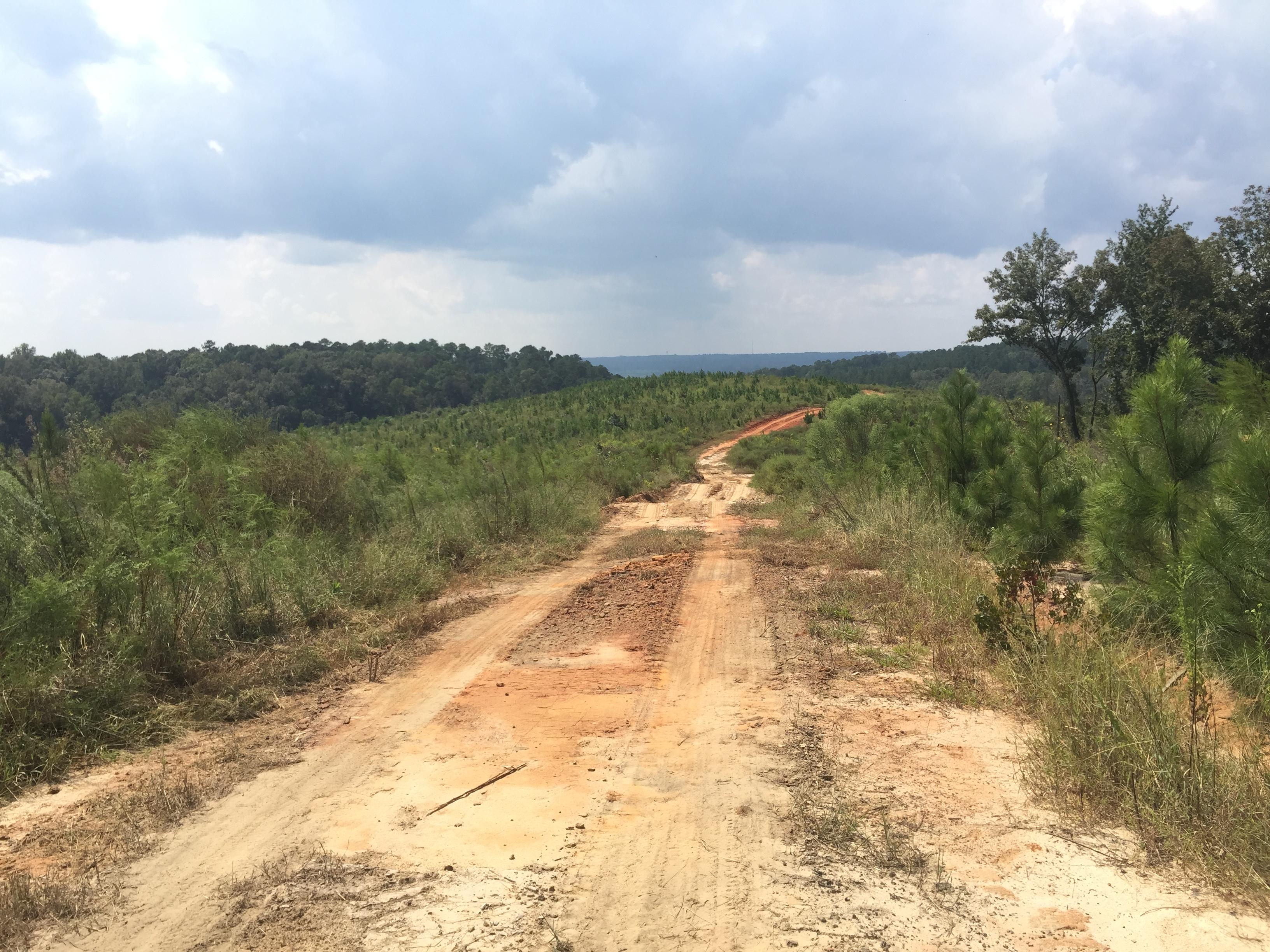 PROPERTY #2 - 268 TOTAL ACRES - CLAY COUNTY, GA