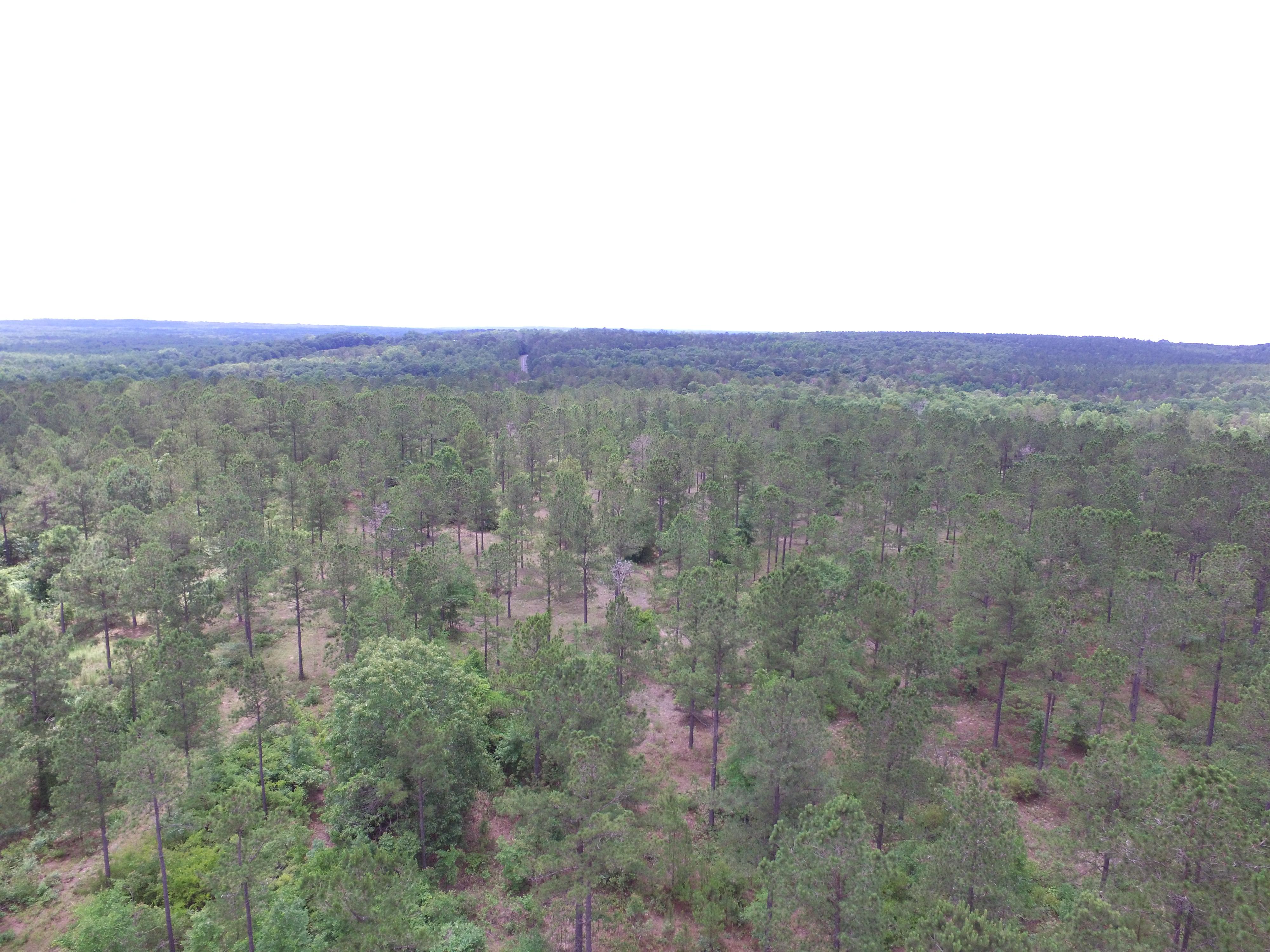 Property #1 - 273± - Total Acres - Webster County, Georgia