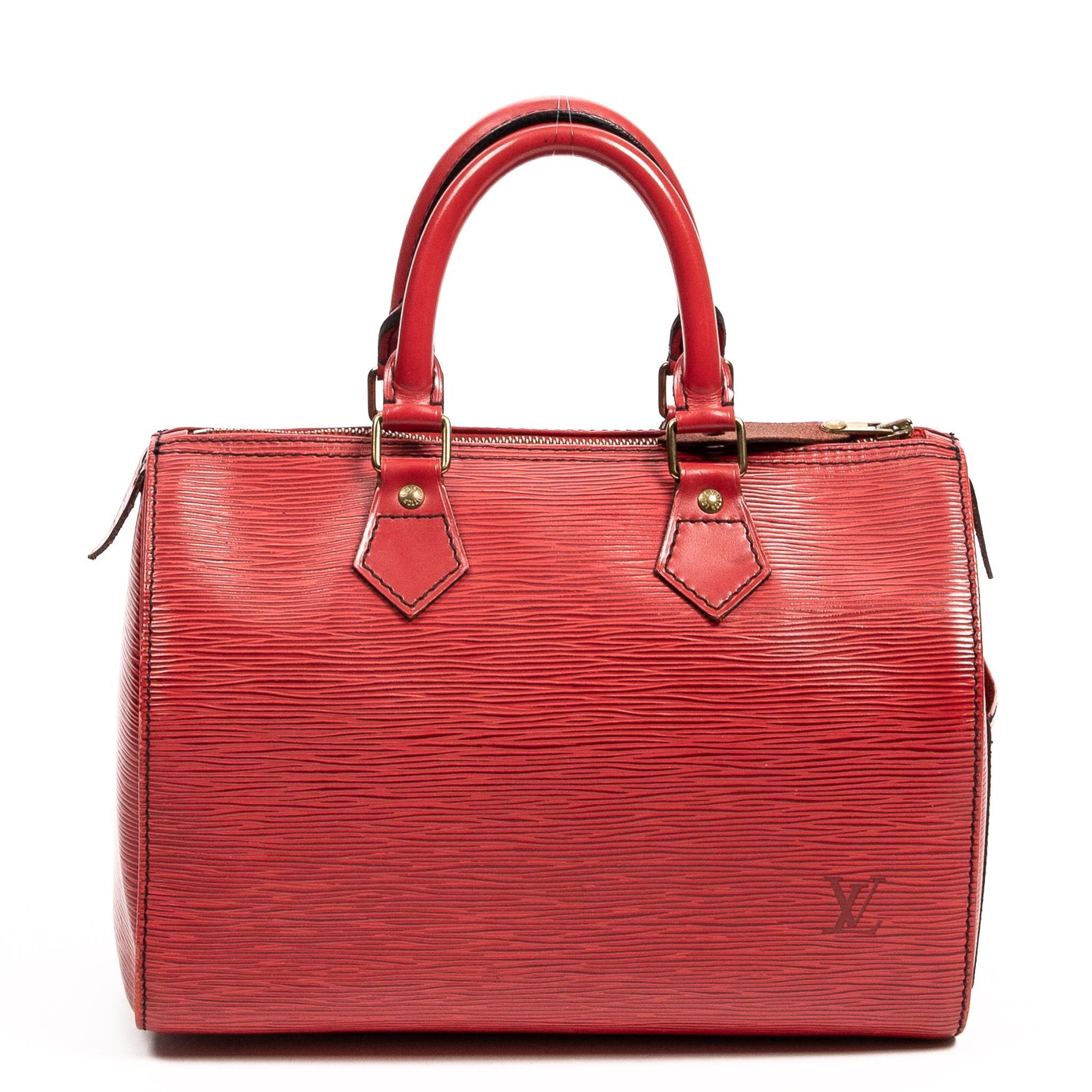 Louis Vuitton Multicolor Speedy - 17 For Sale on 1stDibs