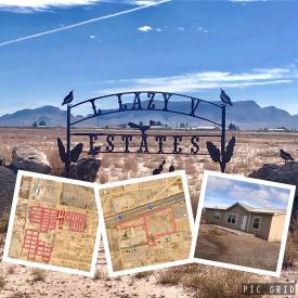 Deming New Mexico Real Estate Auction