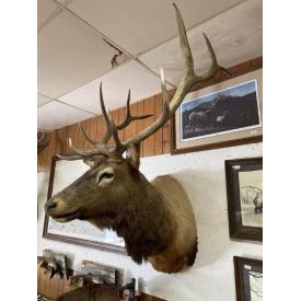 Museum Quality, Unique Personal Collection of Wildlife, Taxidermy, Pictures, and Hunting Memorabilia ~ Sign Collection ~ And Much More!