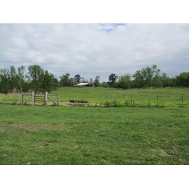 1123 County Highway 75 (120 Acres offered in 4 Tracts)