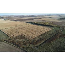 Gerald Sonnek Trust-NO RESERVE Farm Land