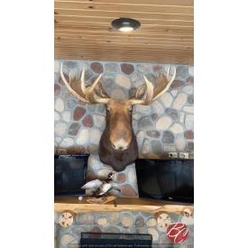 Buck & Badger Northwoods Lodge A1182