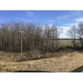 Land for Sale in Poplar Bluff $39,900- 18002
