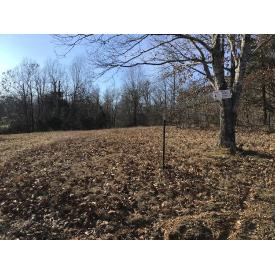 3.75 +/- Prime acres of Land $22,900 - 18007