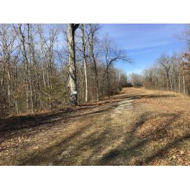 +/- 3 Acres for Sale $12,900 in Poplar Bluff, MO - 18008