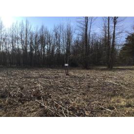 40 Acres For Sale! - 18013