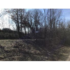 40 Acres For Sale! - 18013