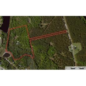 Estate Size Lots For Sale on Turkey Ridge (Swainsboro, GA)