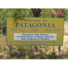 Estate Ordered Patagonia Lot Auction