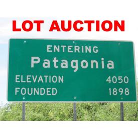 Estate Ordered Patagonia Lot Auction