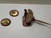 Pheasant Taxidermy Mount And Pictures 