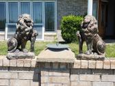 Concrete Lion Statues 