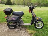 Honda Spree Moped