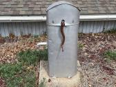Vintage Water Well Pump Cover