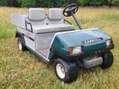 Carry-all Golf Cart