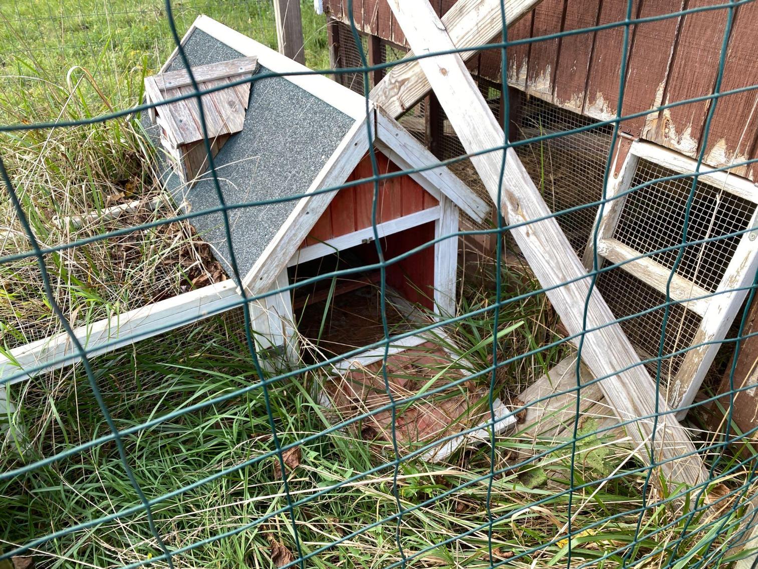 Image for Chicken Coop w/Fenced In Area 