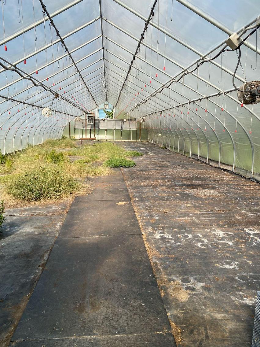 Image for XS Smith Greenhouse 30'x96'- Modine Prpane Heaters, Exhaust Fans, Louvers, Drip 