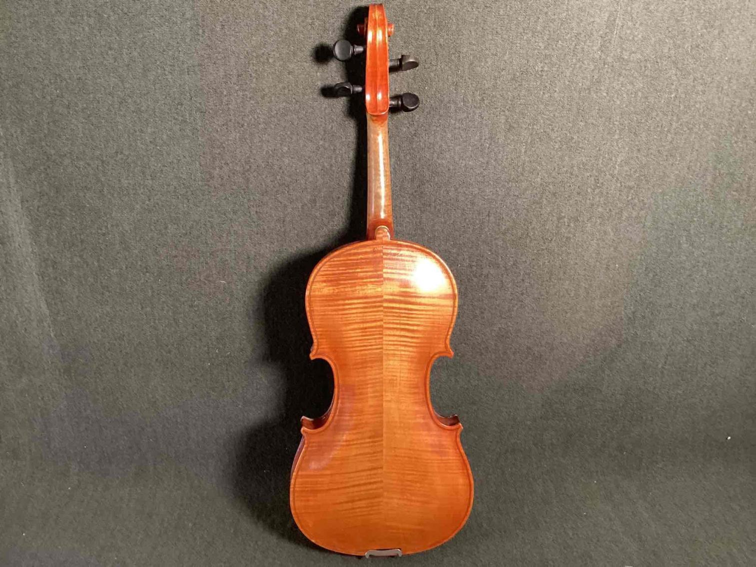 Image for Violin in Case with Two Bows