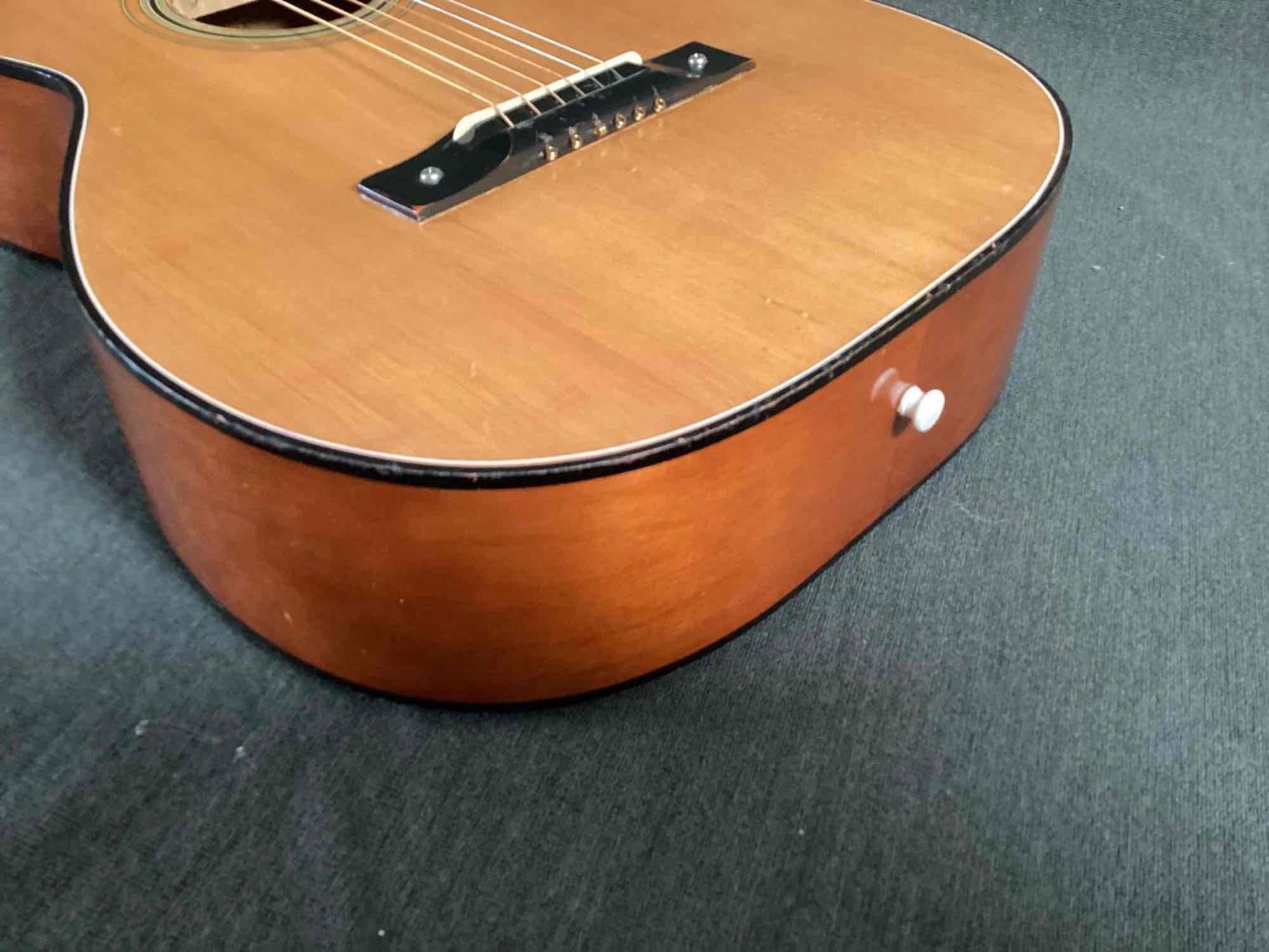Image for Acoustic Guitar with Case