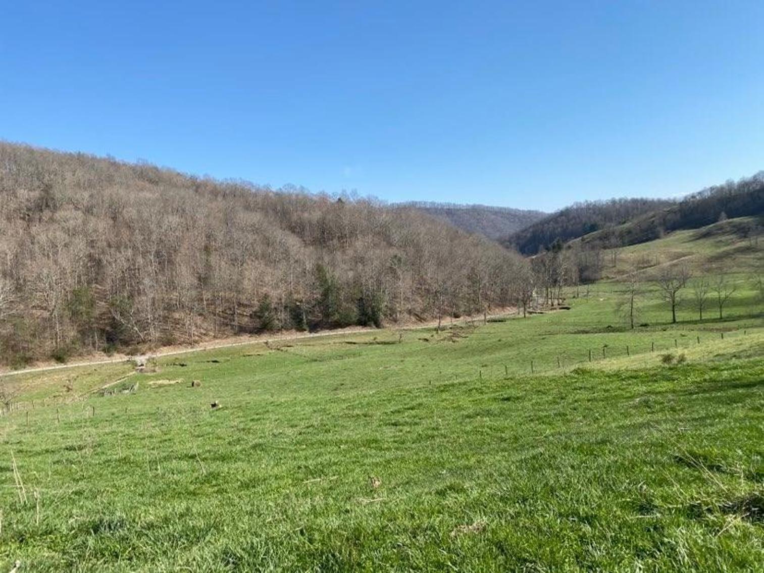 Image for 122.66 Acres (±) Cussing Hollow Rd., Saltville, VA