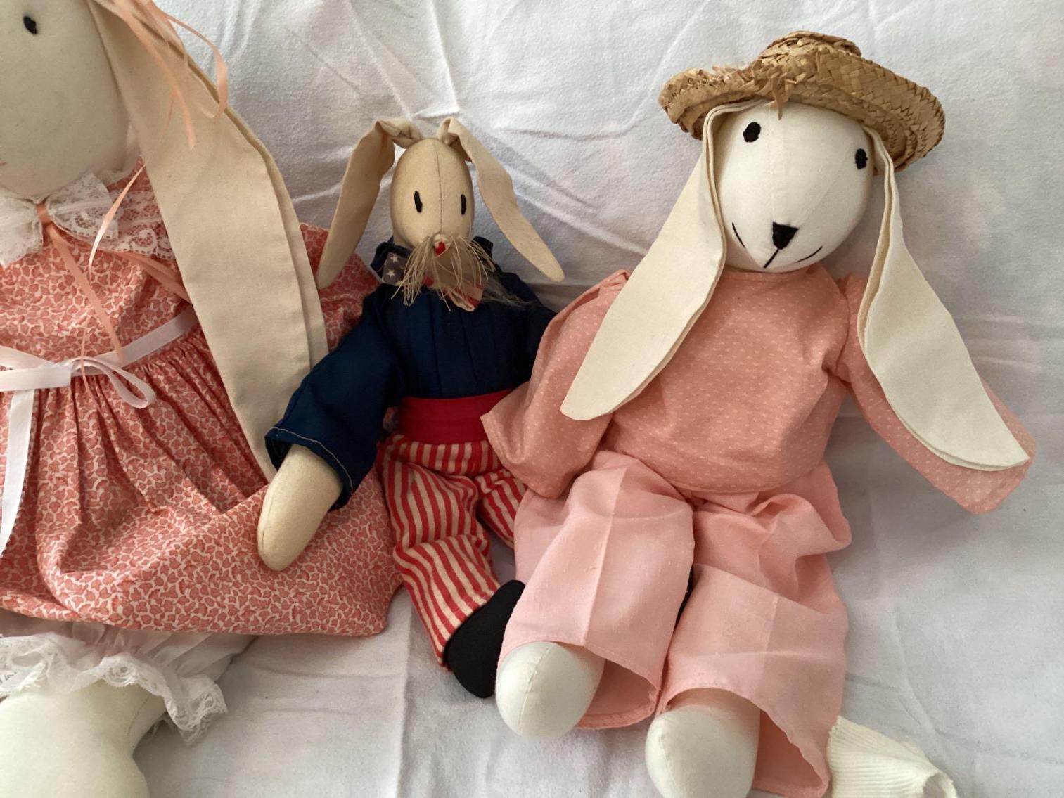 Image for Flop Ear Rabbits and Rag Doll