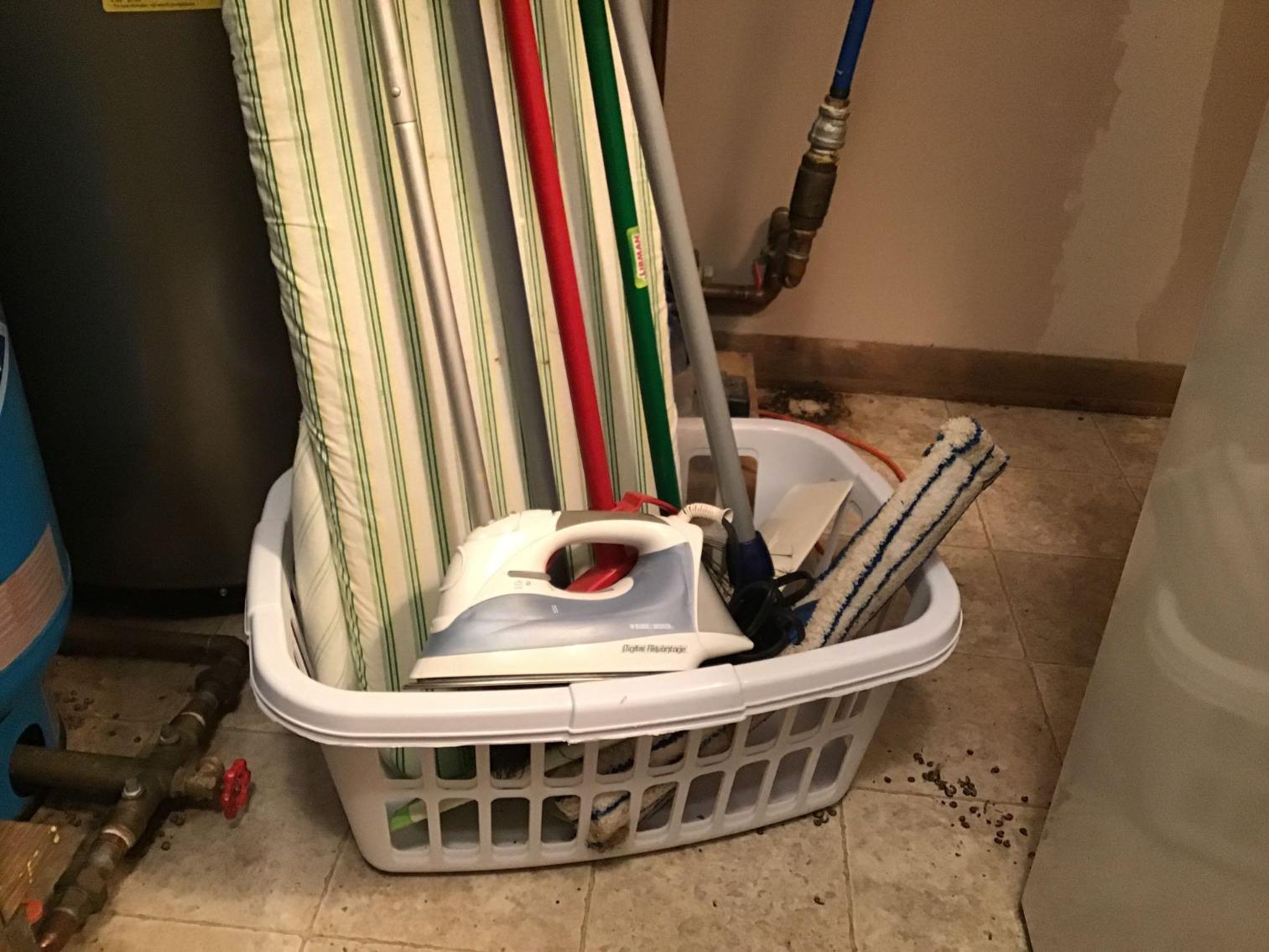 Image for Wash Day and Cleaning Lot